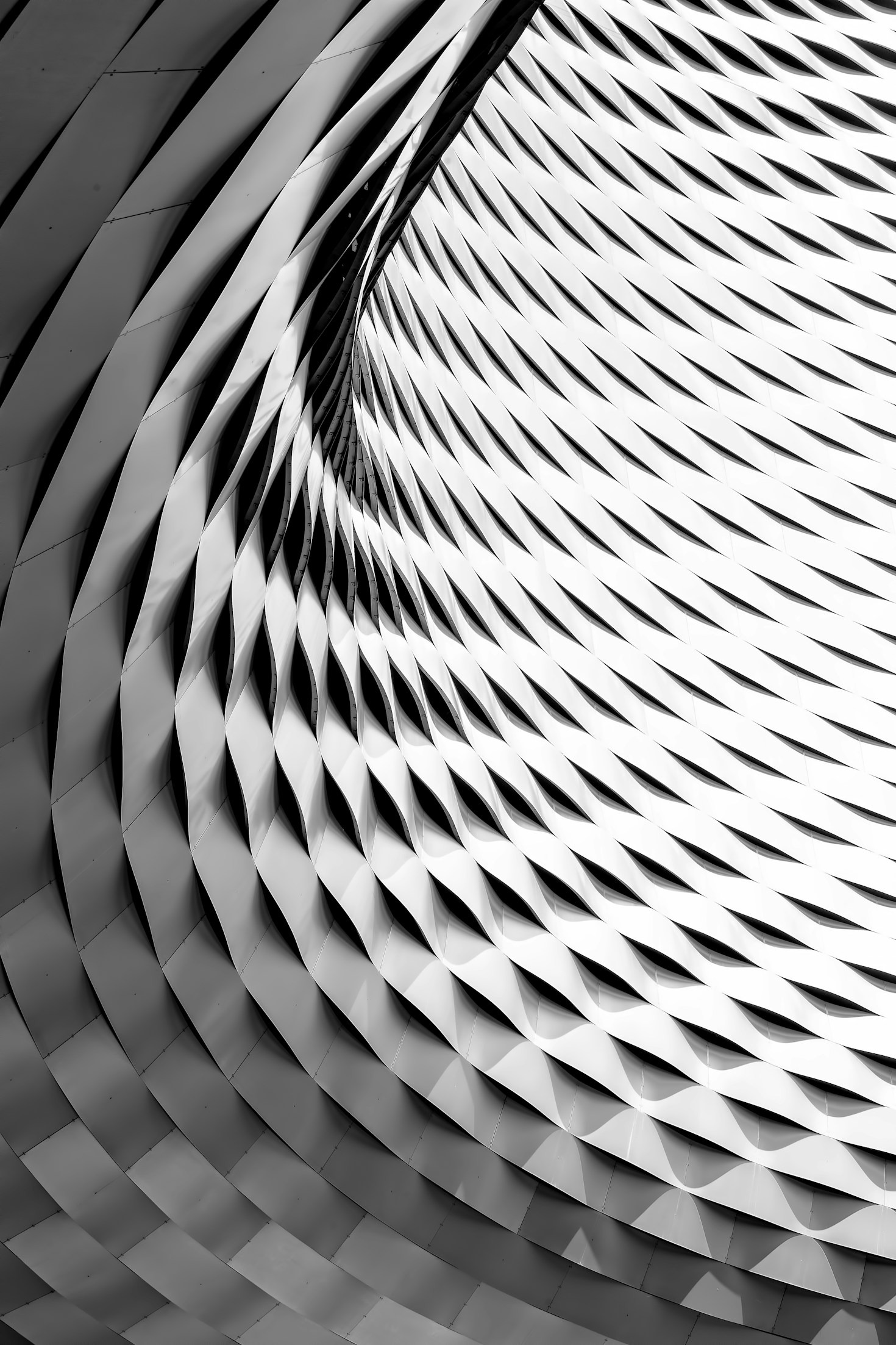 Histórias de Sucesso: Engenheiros Sem Fronteiras